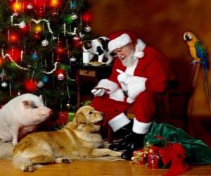 yapboz Santa ile çeşitli hayvanlar